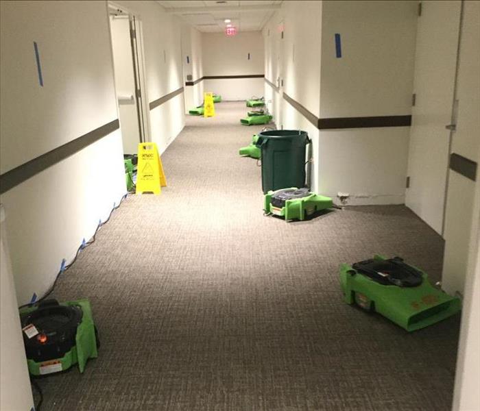 commercial building corridor, carpeted with drying devices at work